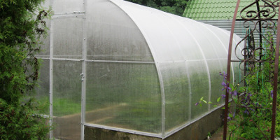 При покупке теплицы - скидка 5% на сотовый поликарбонат При покупке теплицы - скидка 5% на сотовый поликарбонат